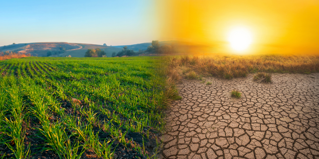 How To Work Within the Planetary Boundaries and Act Upon Climate Change